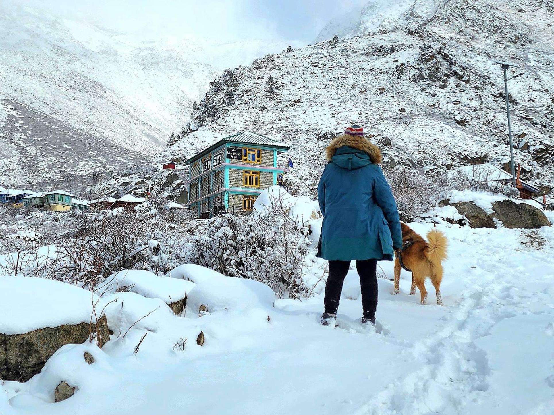 Chitkul Lap Stays - Wanderer'S Nest מראה חיצוני תמונה